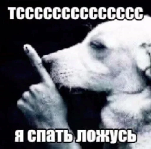 🤩 Стикер «pack f 8fa 7» для Telegram