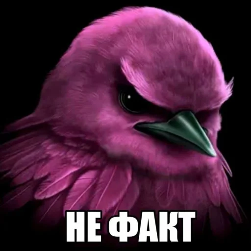 🤩 Стикер «pack f 8fa 7» для Telegram
