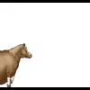 🤩 Эмодзи «Лошадь из тиктока» для Telegram