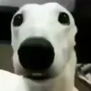 😬 Эмодзи «Сабаки» для Telegram