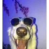 😎 Эмодзи «Сабаки» для Telegram