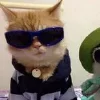 😆 Эмодзи «Парные емоджи из картинок» для Telegram