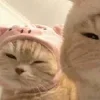 🥹 Эмодзи «Парные емоджи из картинок» для Telegram