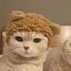 🫡 Эмодзи «Парные емоджи из картинок» для Telegram