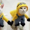 🤩 Эмодзи «Парные Котята» для Telegram