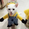 🤩 Эмодзи «Парные Котята» для Telegram