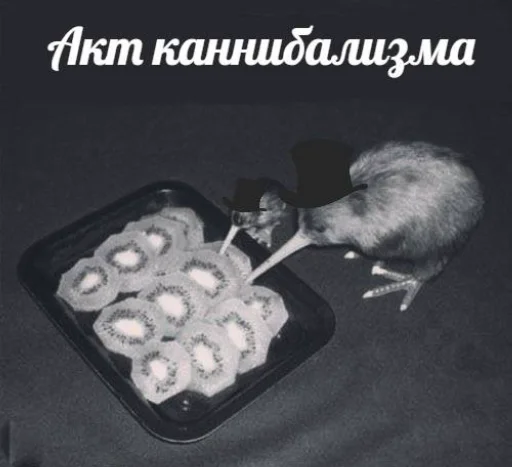 🥝 Стикер «Культурные стикеры» для Telegram