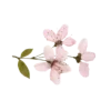 💗 Эмодзи «pale aesthetic» для Telegram