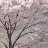 💗 Эмодзи «pale aesthetic» для Telegram