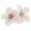 💗 Эмодзи «pale aesthetic» для Telegram