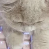 💗 Эмодзи «pale aesthetic» для Telegram