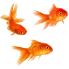🐟 Эмодзи «Palette» для Telegram
