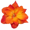 🏵️ Эмодзи «Palette» для Telegram
