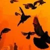 🕊️ Эмодзи «Palette» для Telegram