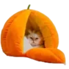 😾 Эмодзи «Palette» для Telegram