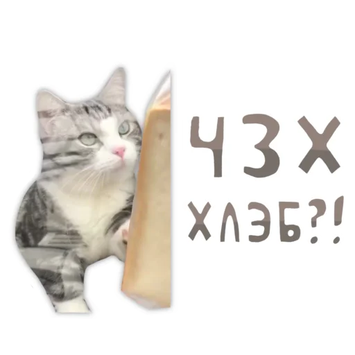 😱 Стикер «Panchan» для Telegram