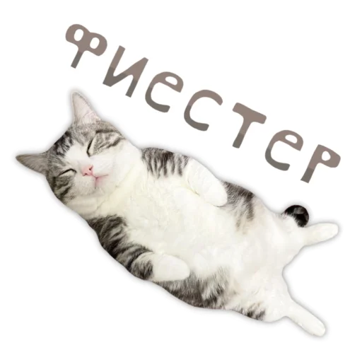 💎 Стикер «Panchan» для Telegram