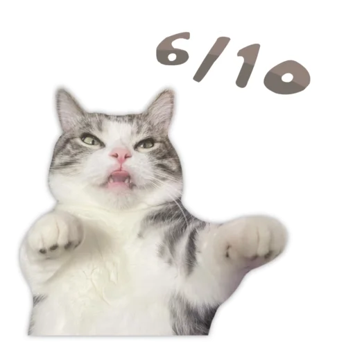 😛 Стикер «Panchan» для Telegram