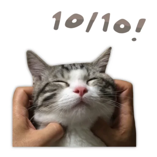 🥰 Стикер «Panchan» для Telegram