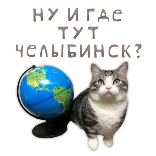 🌎 Стикер «Panchan» для Telegram