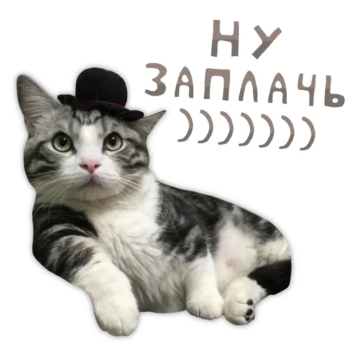 🥸 Стикер «Panchan» для Telegram