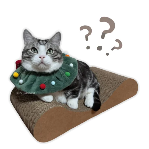 ❓ Стикер «Panchan» для Telegram