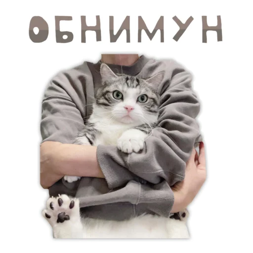 🤗 Стикер «Panchan» для Telegram