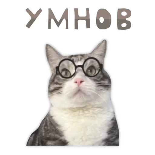 🤓 Стикер «Panchan» для Telegram
