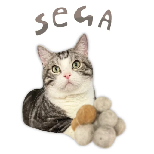💎 Стикер «Panchan» для Telegram