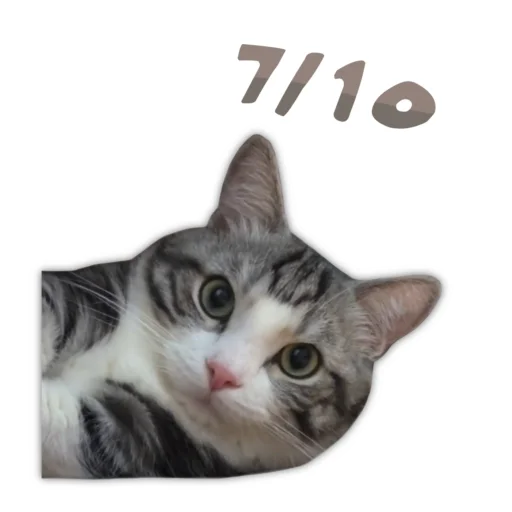 🙂 Стикер «Panchan» для Telegram