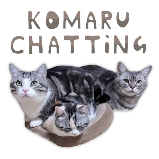 💎 Стикер «Panchan» для Telegram