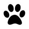 🐾 Эмодзи «Panda» для Telegram
