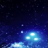 😀 Эмодзи «Панталоне» для Telegram