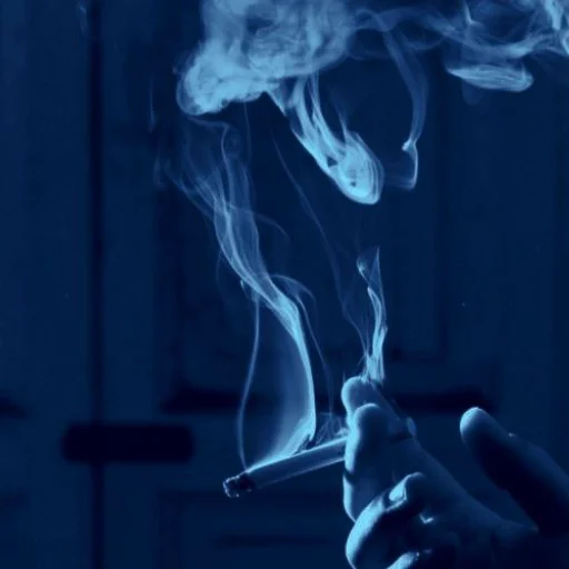 👁️‍🗨️ Стикер «Pantalone Night» для Telegram