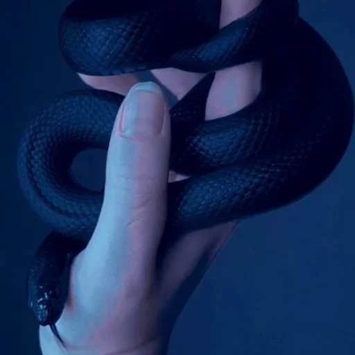👁️‍🗨️ Стикер «Pantalone Night» для Telegram