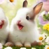 🌟 Эмодзи «🌟🌟парные статусы» для Telegram