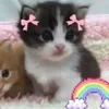 🌟 Эмодзи «🌟🌟парные статусы» для Telegram