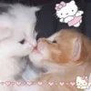 🌟 Эмодзи «🌟🌟парные статусы» для Telegram
