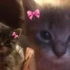 🌟 Эмодзи «🌟🌟парные статусы» для Telegram