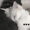 🌟 Эмодзи «𝗺𝗮𝘁𝗰𝗵𝗶𝗻𝗴 𝗶𝗰𝗼𝗻𝘀» для Telegram