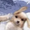 🌟 Эмодзи «𝗺𝗮𝘁𝗰𝗵𝗶𝗻𝗴 𝗶𝗰𝗼𝗻𝘀» для Telegram