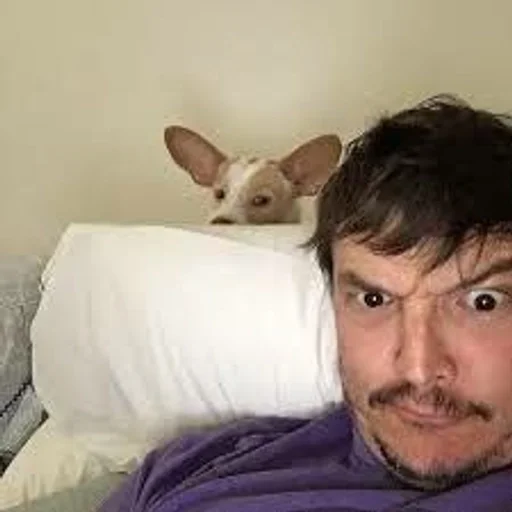 😱 Стикер «Pedro Paskal» для Telegram