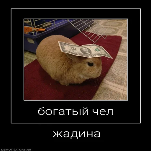 Стикерпак Чел для Telegram — скачать
