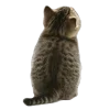 🤩 Эмодзи «̗̀Ｋｉｔｔｅｎｓ» для Telegram
