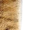 😎 Эмодзи «̗̀Ｋｉｔｔｅｎｓ» для Telegram