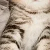🙂 Эмодзи «̗̀Ｋｉｔｔｅｎｓ» для Telegram