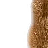 😄 Эмодзи «̗̀Ｋｉｔｔｅｎｓ» для Telegram