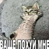 🤩 Эмодзи «̗̀Ｋｉｔｔｅｎｓ» для Telegram
