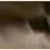😂 Эмодзи «̗̀Ｋｉｔｔｅｎｓ» для Telegram