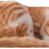 😆 Эмодзи «̗̀Ｋｉｔｔｅｎｓ» для Telegram